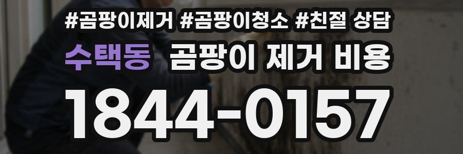 수택동 곰팡이 제거 비용