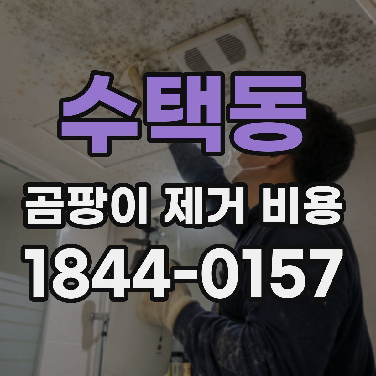 수택동 곰팡이 제거 비용