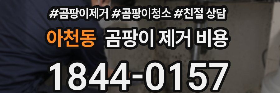 아천동 곰팡이 제거 비용