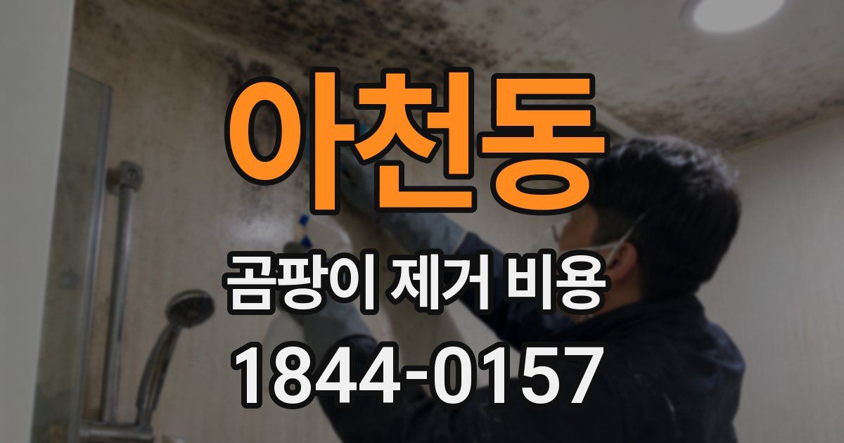 아천동 곰팡이 제거 비용