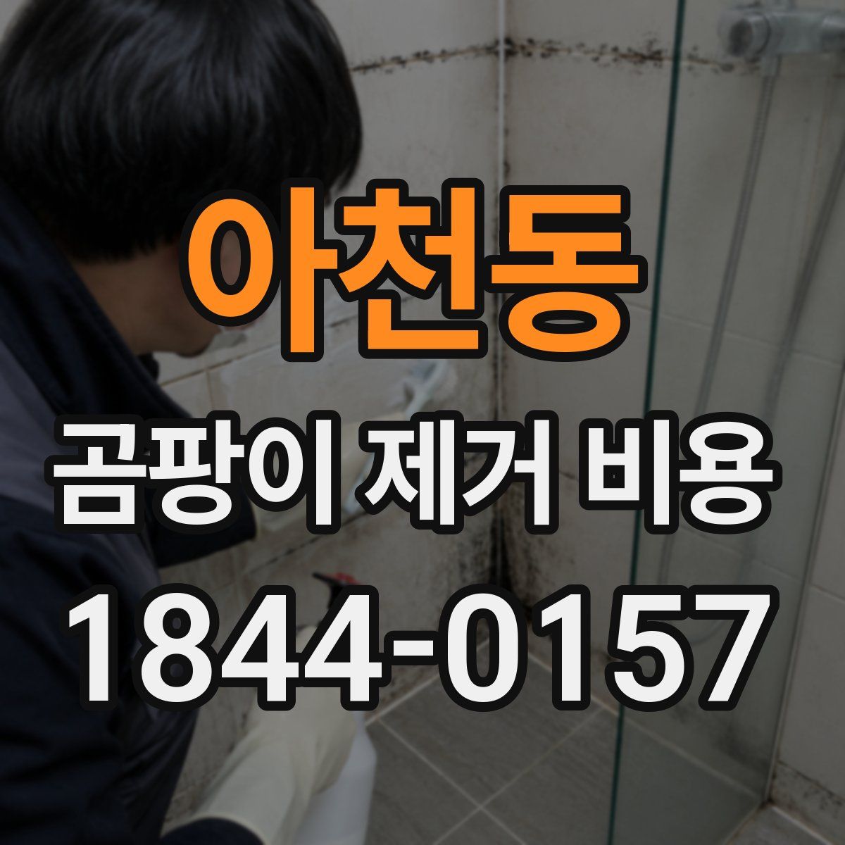 아천동 곰팡이 제거 비용