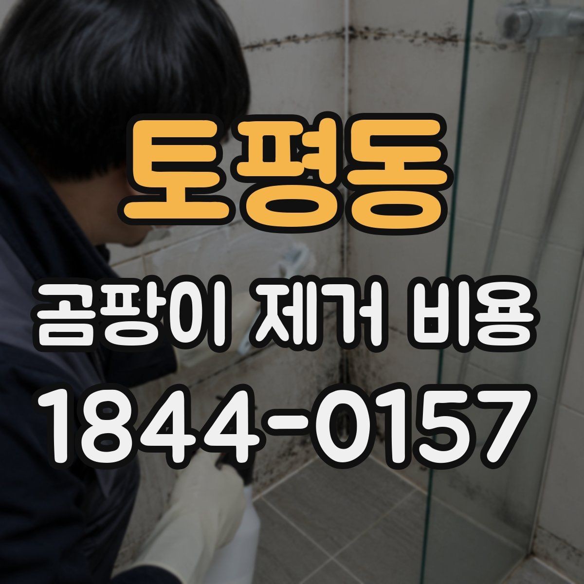 토평동 곰팡이 제거 비용 계약 전에 확인할 체크리스트