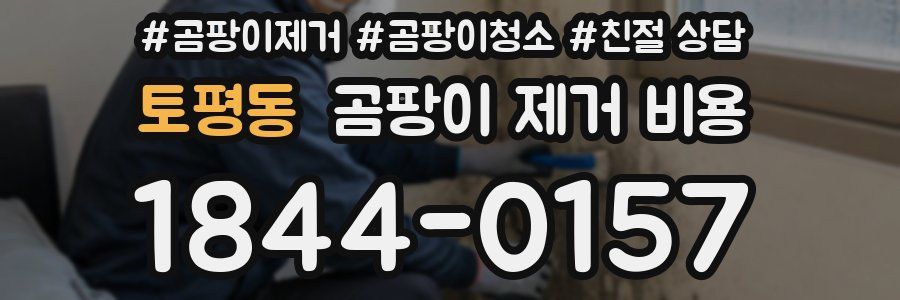 토평동 곰팡이 제거 비용