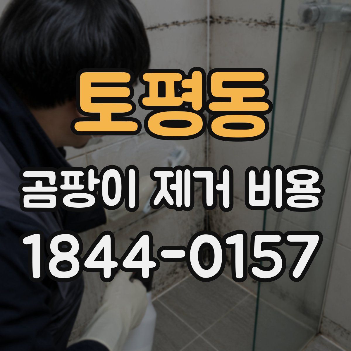 토평동 곰팡이 제거 비용