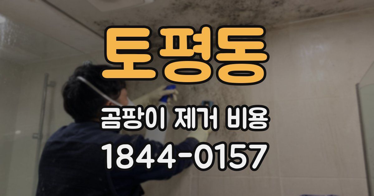 토평동 곰팡이 제거 비용