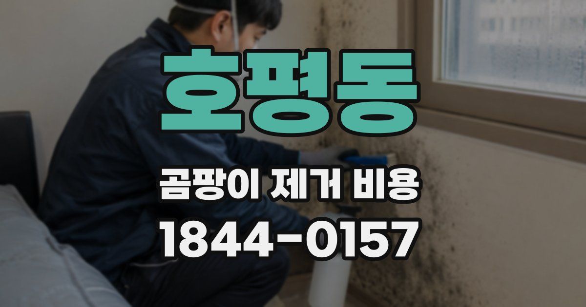 호평동 곰팡이 제거 비용