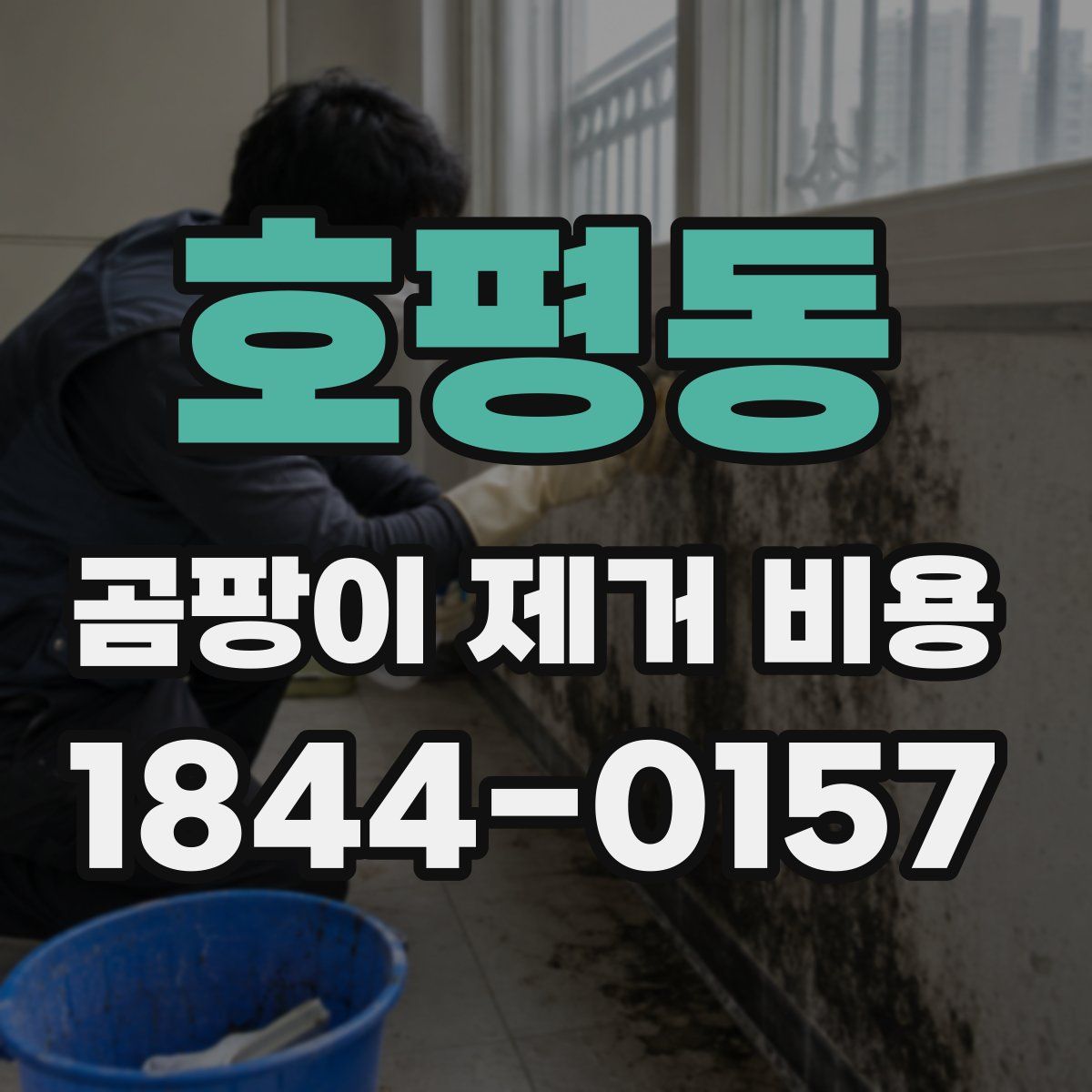 호평동 곰팡이 제거 비용
