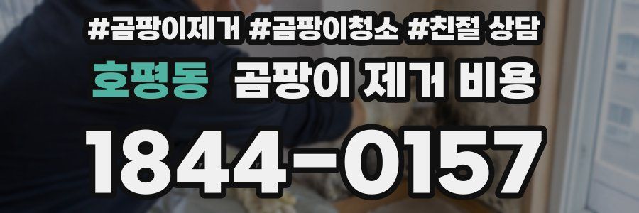 호평동 곰팡이 제거 비용