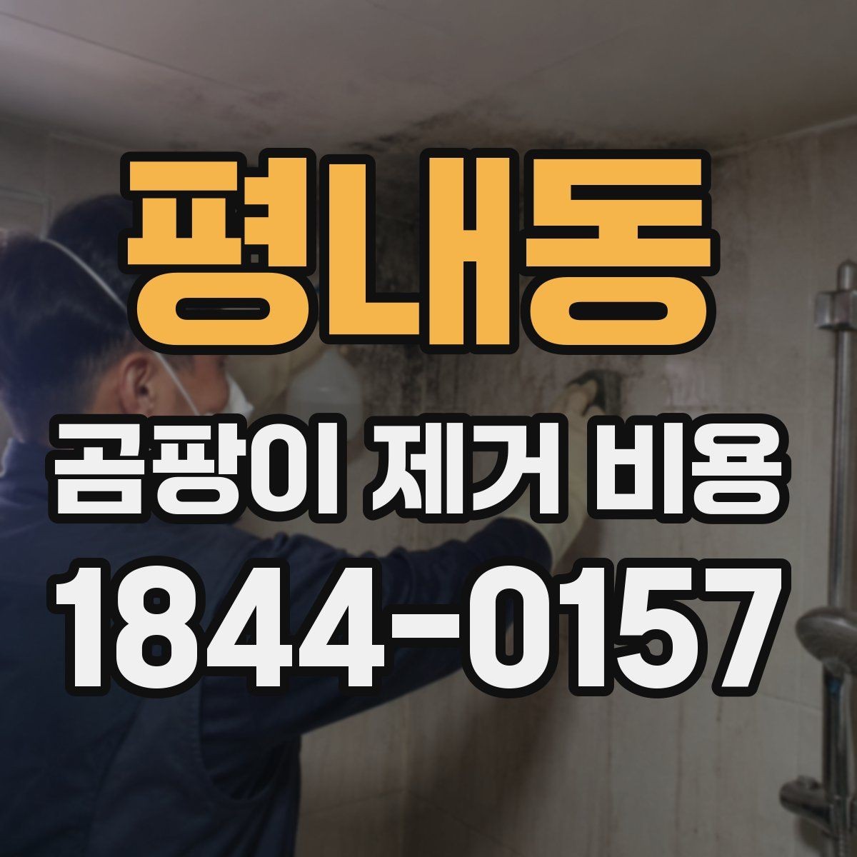 평내동 곰팡이 제거 비용 비교할 때 가격보다 중요한 기준