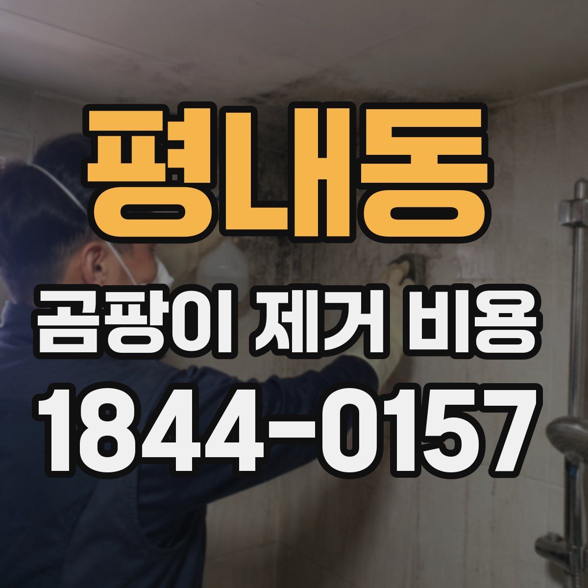 평내동 곰팡이 제거 비용