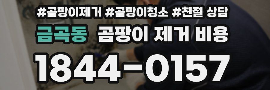 금곡동 곰팡이 제거 비용