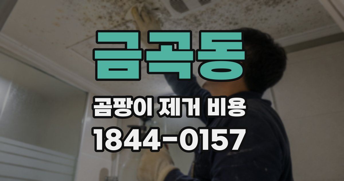 금곡동 곰팡이 제거 비용