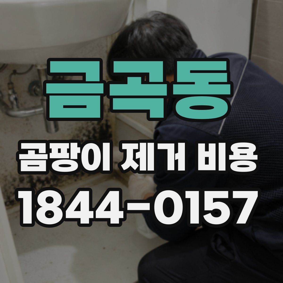 금곡동 곰팡이 제거 비용