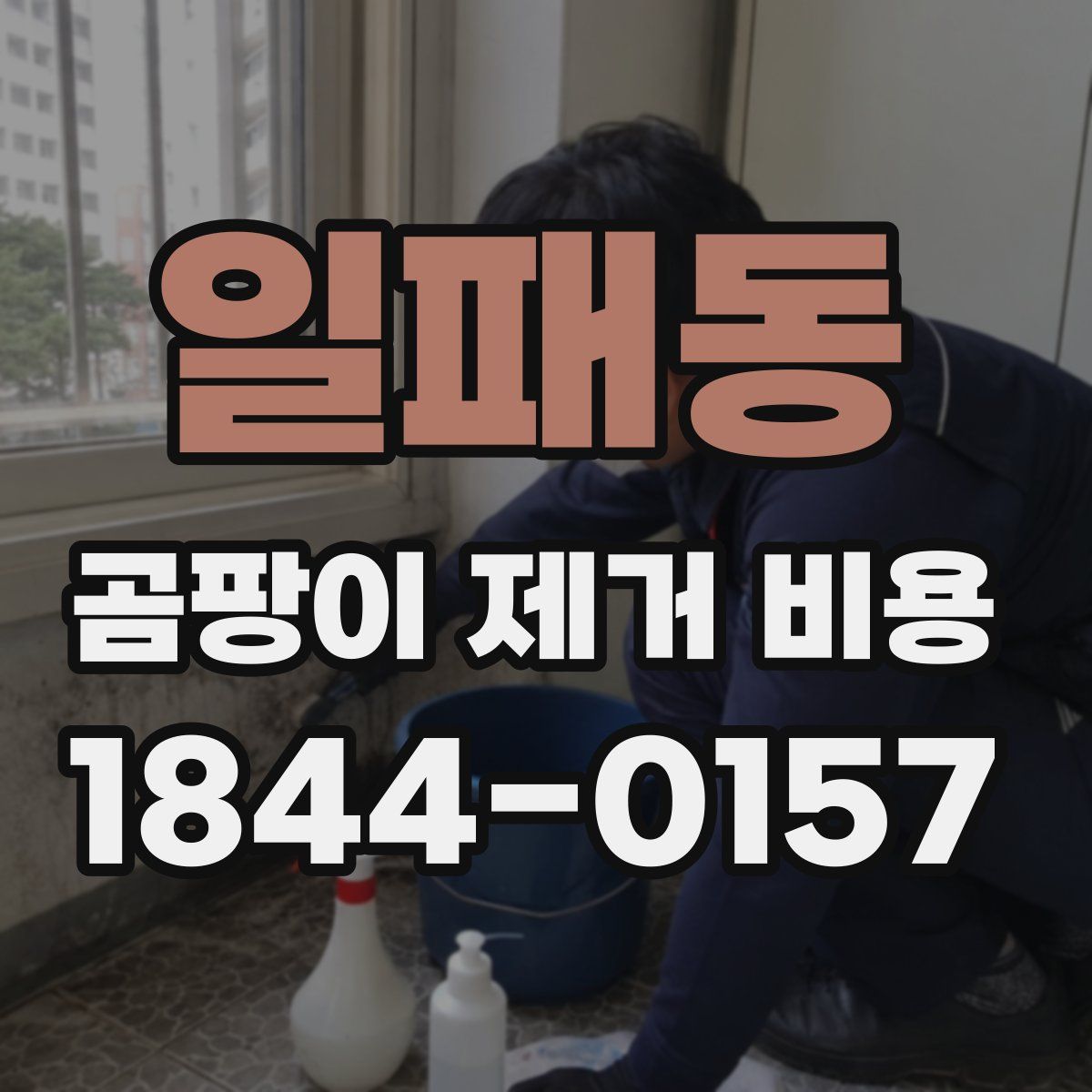 일패동 곰팡이 제거 비용