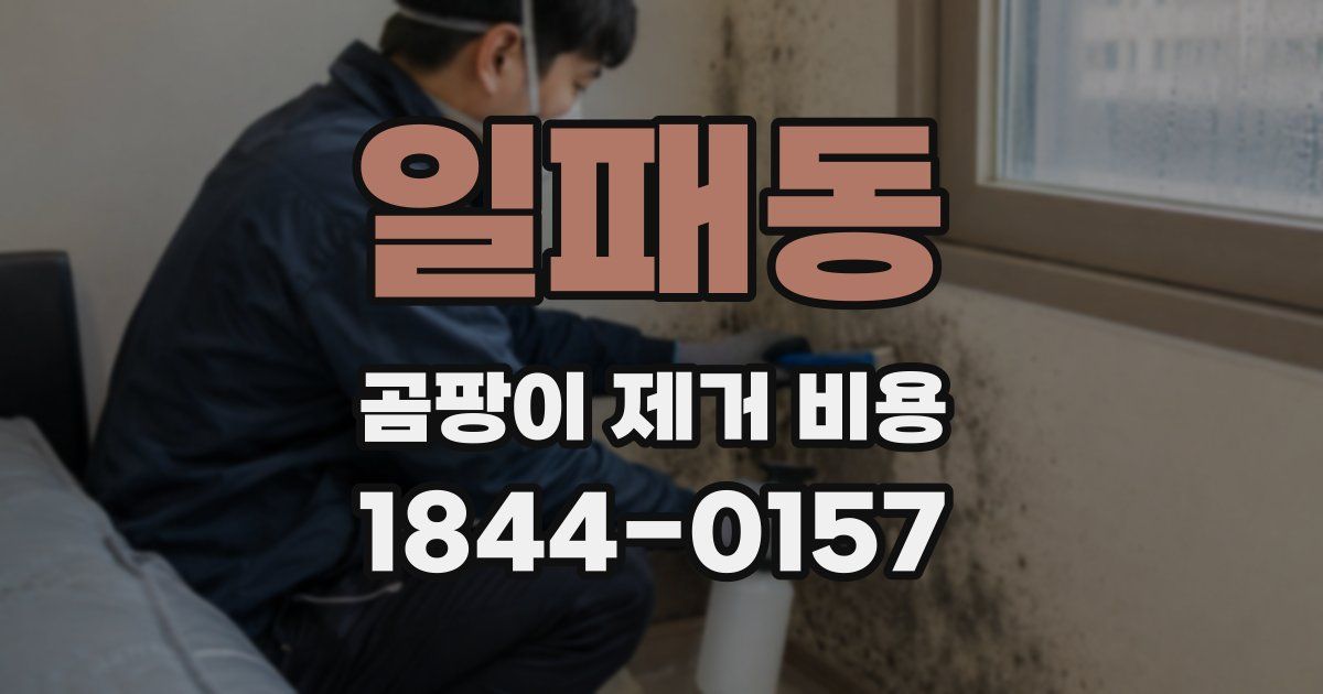 일패동 곰팡이 제거 비용