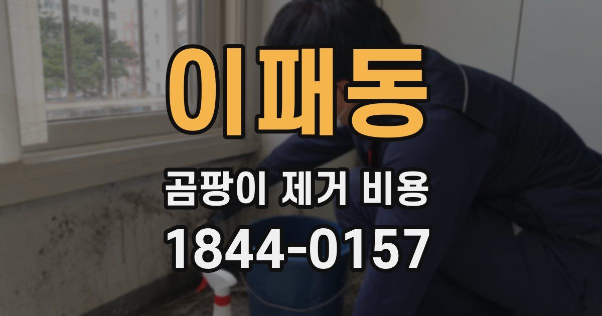 이패동 곰팡이 제거 비용