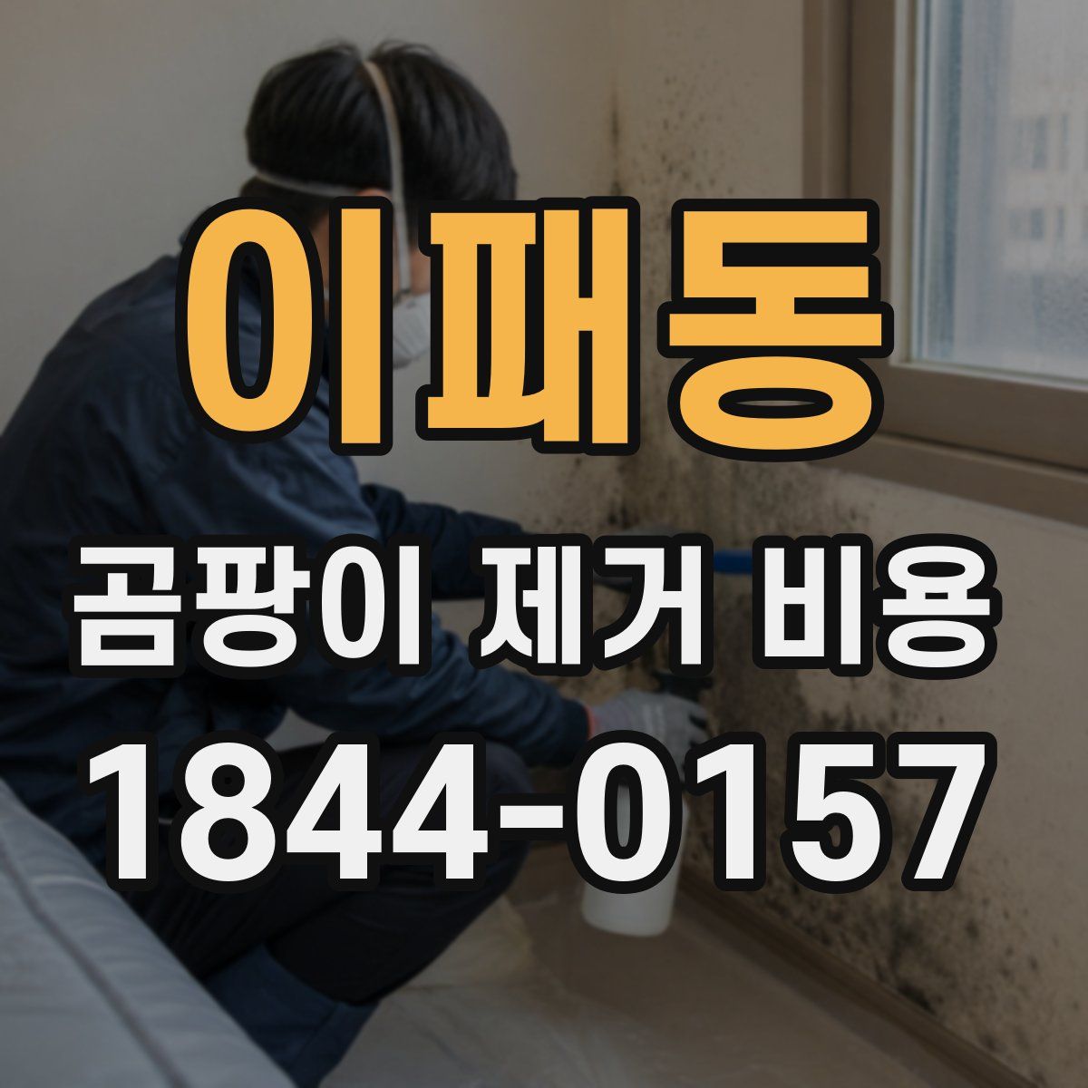 이패동 곰팡이 제거 비용