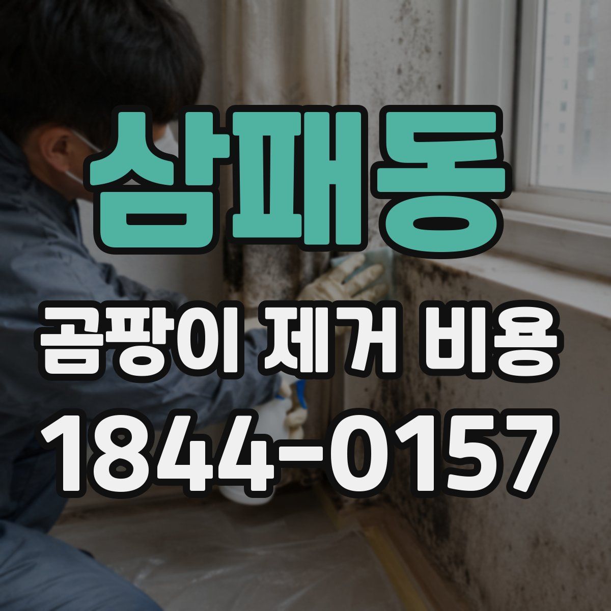 삼패동 곰팡이 제거 비용