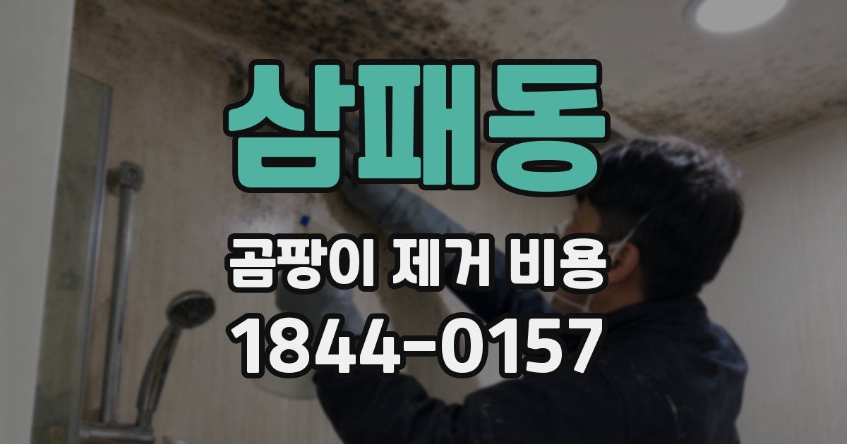 삼패동 곰팡이 제거 비용