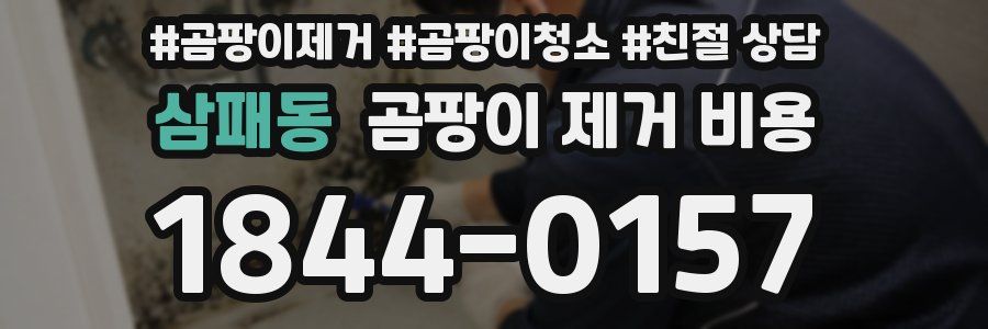 삼패동 곰팡이 제거 비용
