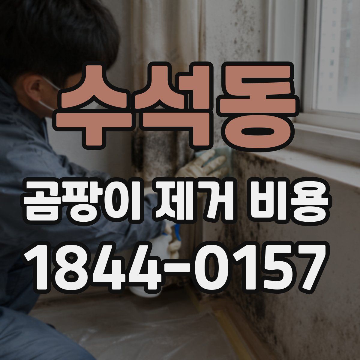 수석동 곰팡이 제거 비용