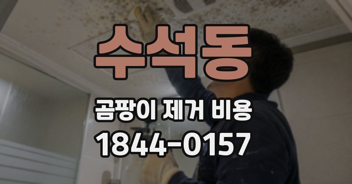 수석동 곰팡이 제거 비용