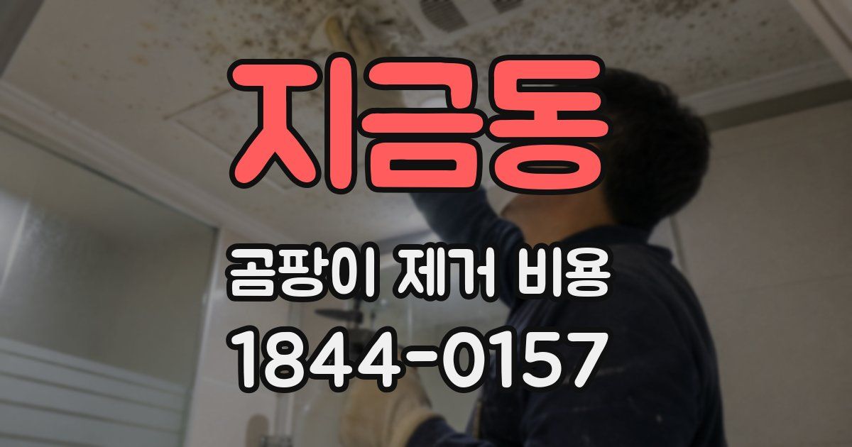 지금동 곰팡이 제거 비용