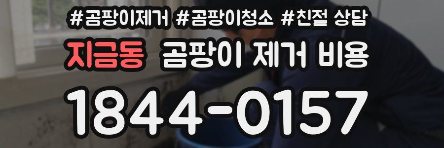 지금동 곰팡이 제거 비용