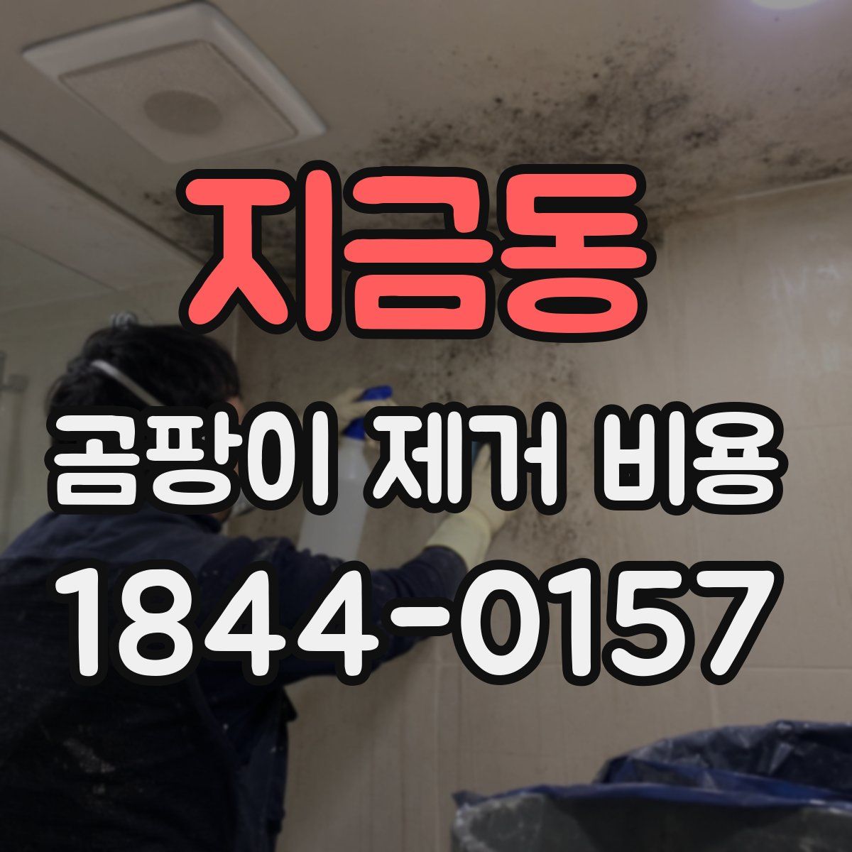 지금동 곰팡이 제거 비용