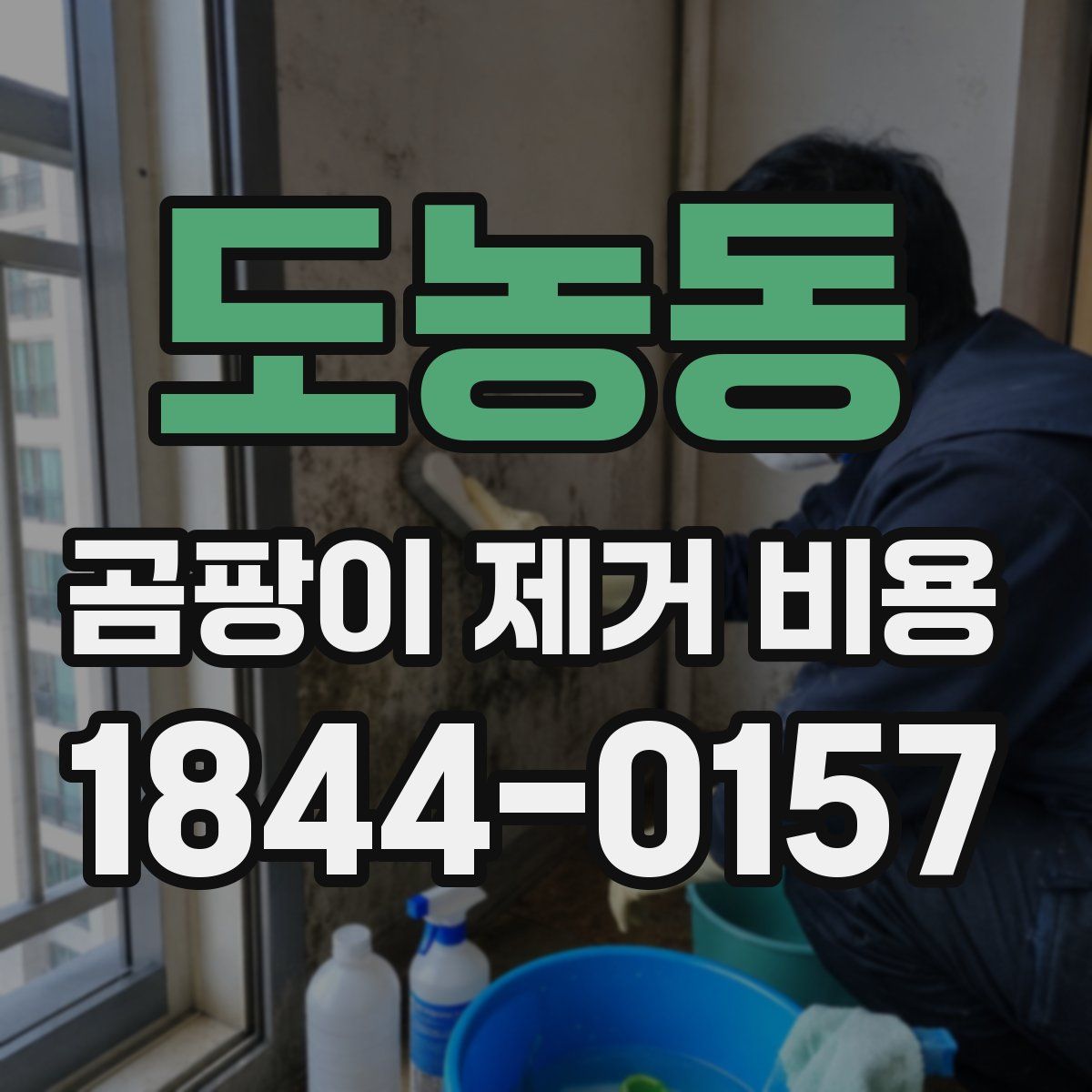 도농동 곰팡이 제거 비용