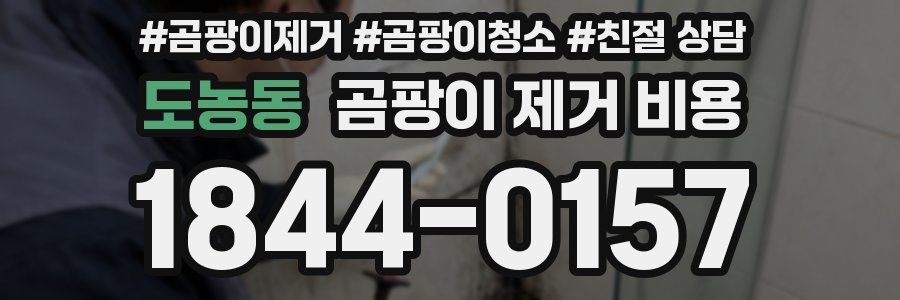 도농동 곰팡이 제거 비용