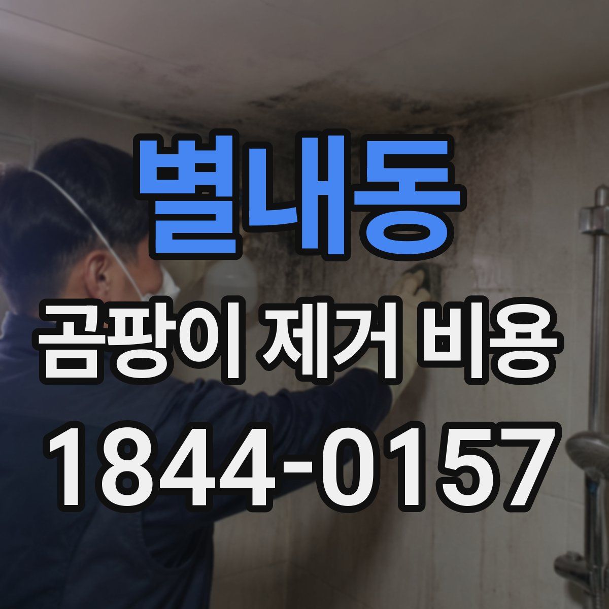 별내동 곰팡이 제거 비용