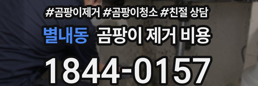 별내동 곰팡이 제거 비용