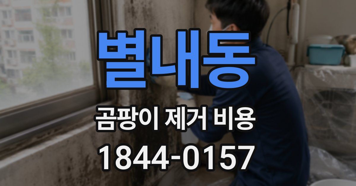 별내동 곰팡이 제거 비용