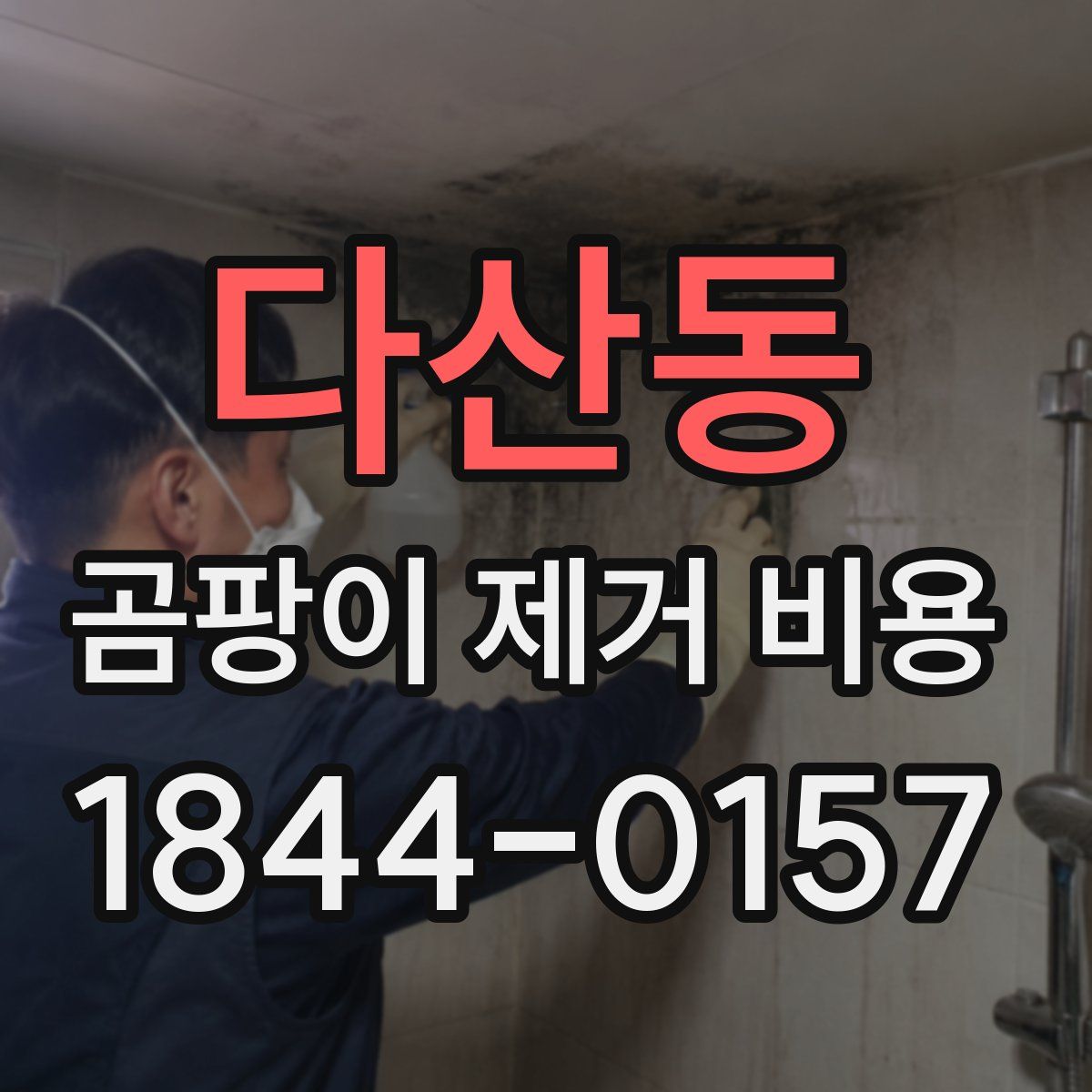 다산동 곰팡이 제거 비용