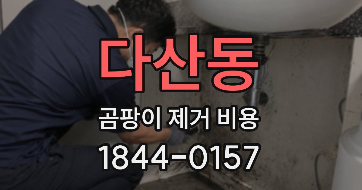 다산동 곰팡이 제거 비용