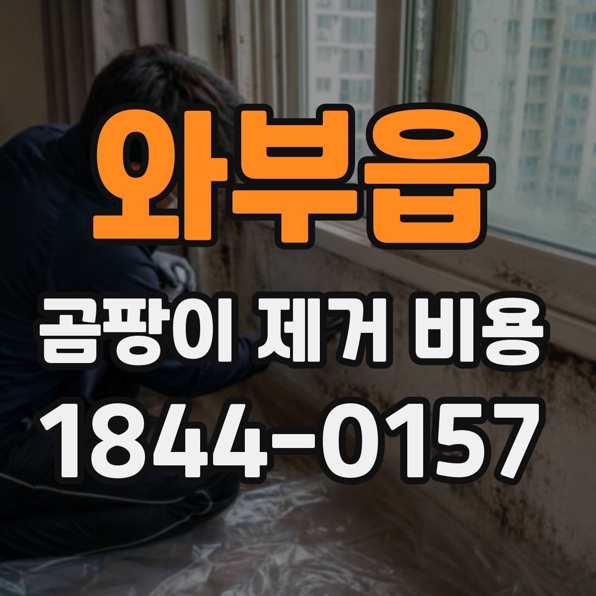 와부읍 곰팡이 제거 비용