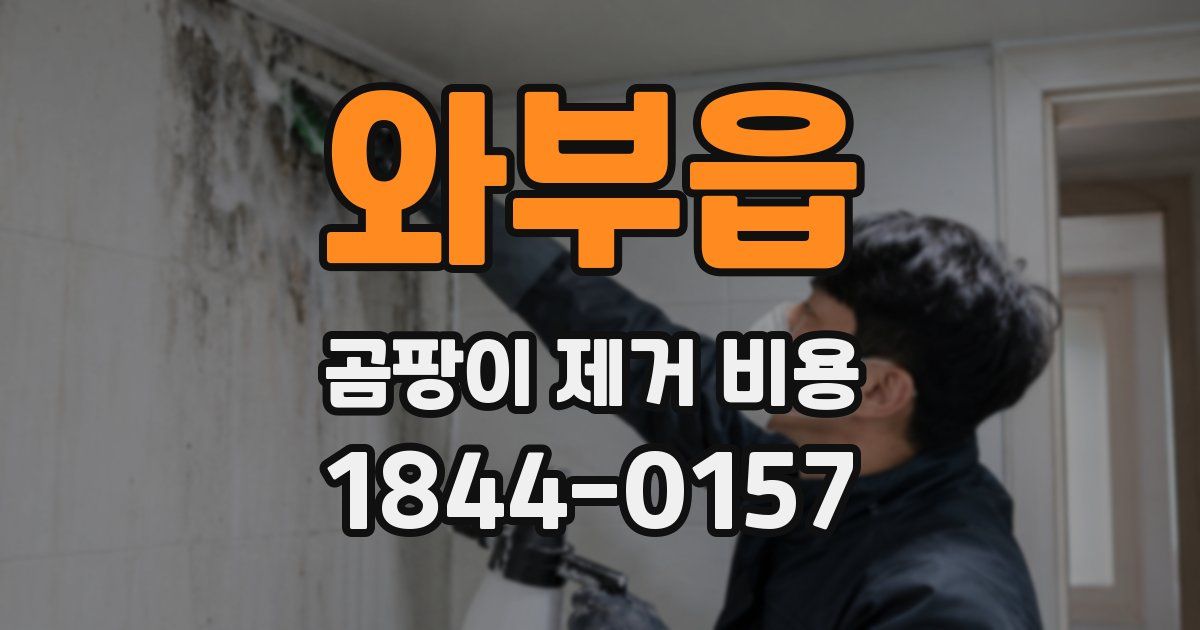 와부읍 곰팡이 제거 비용