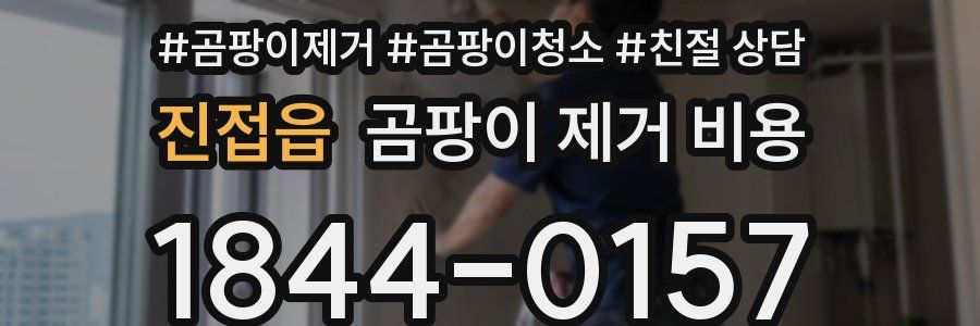 진접읍 곰팡이 제거 비용
