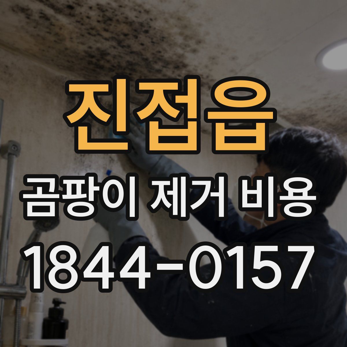 진접읍 곰팡이 제거 비용