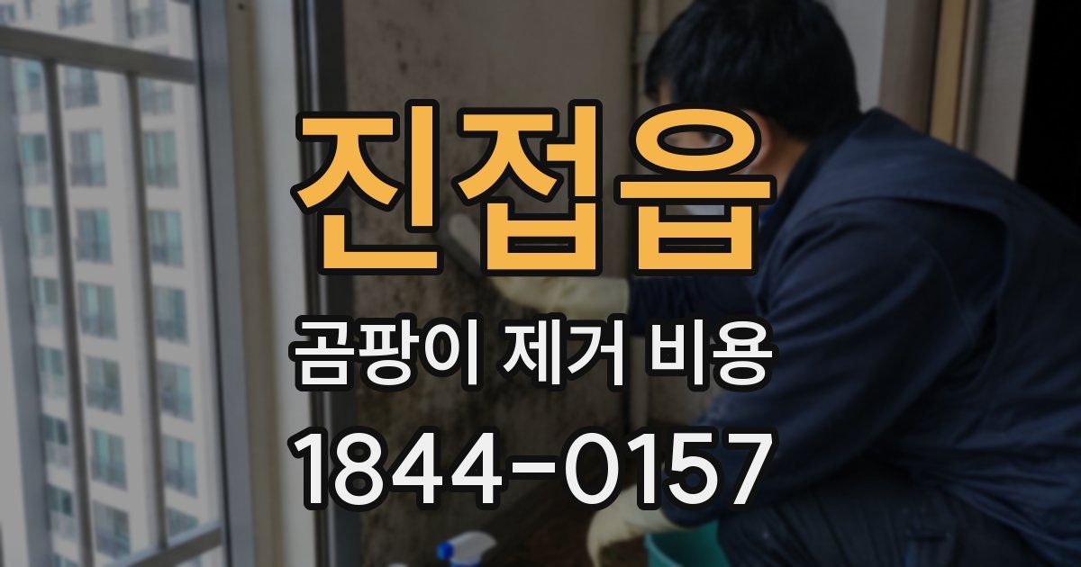 진접읍 곰팡이 제거 비용