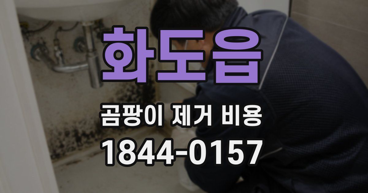 화도읍 곰팡이 제거 비용