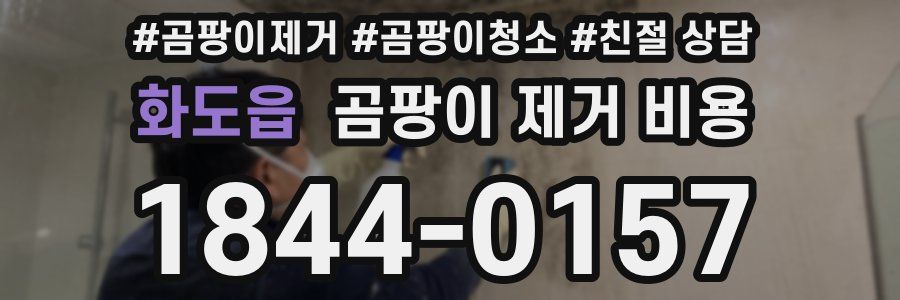 화도읍 곰팡이 제거 비용