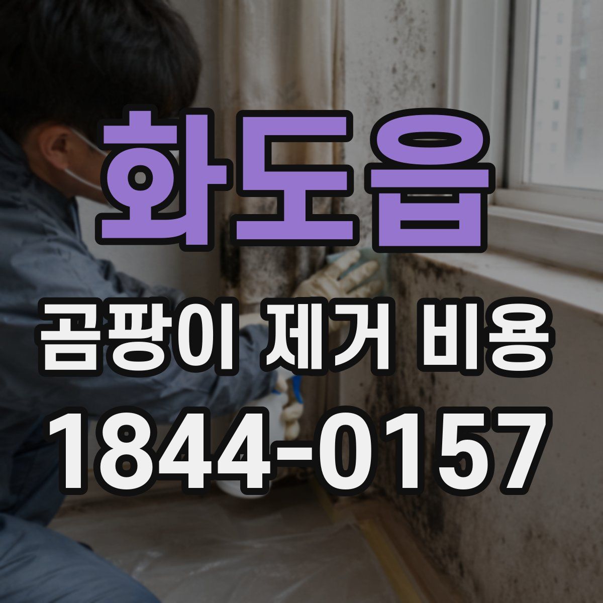 화도읍 곰팡이 제거 비용