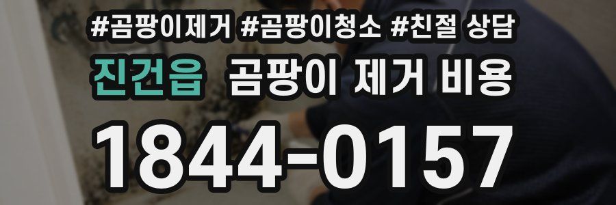 진건읍 곰팡이 제거 비용