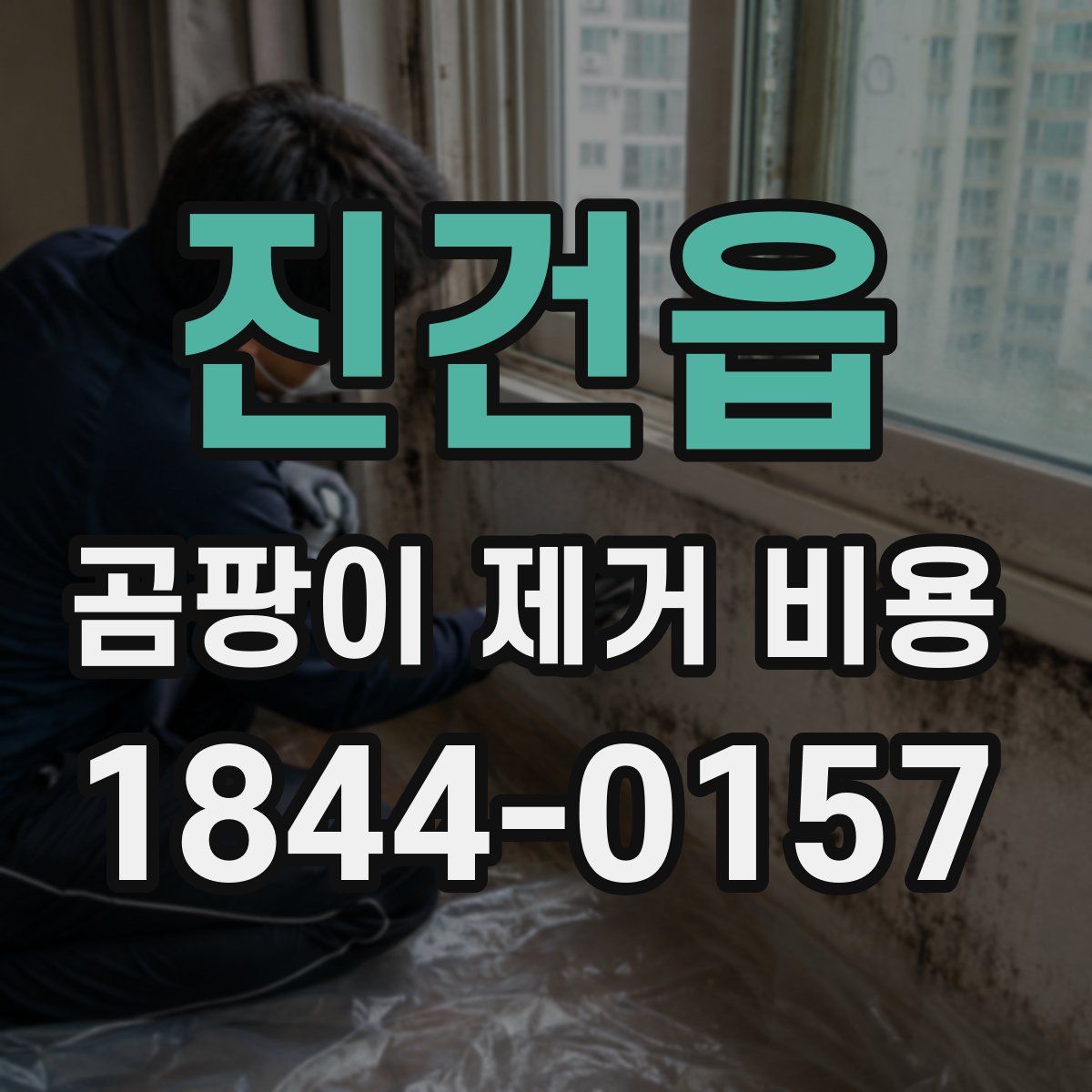 진건읍 곰팡이 제거 비용