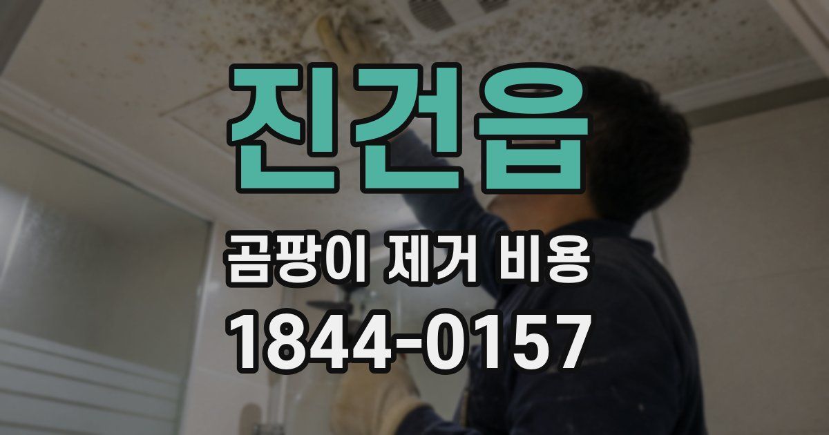 진건읍 곰팡이 제거 비용