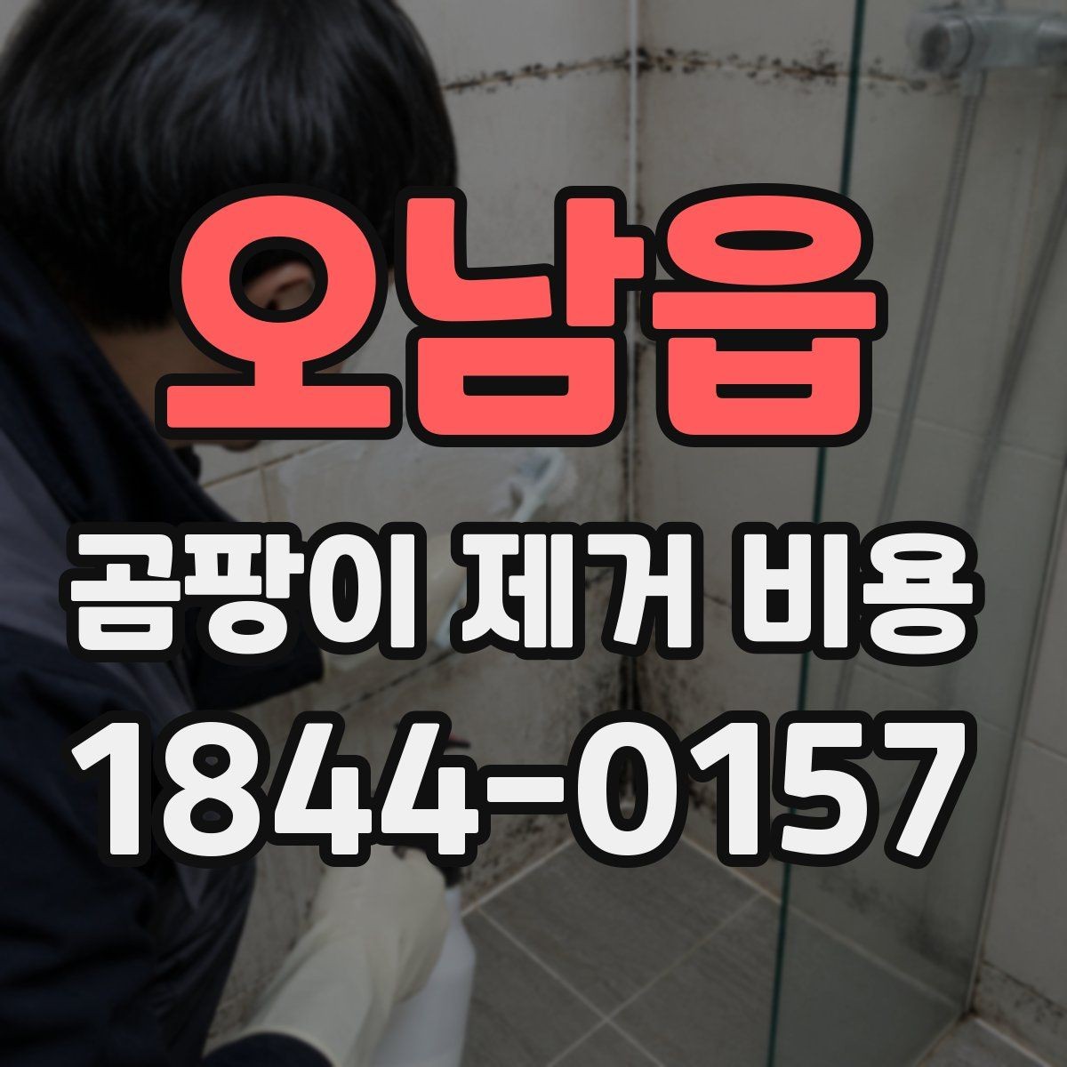오남읍 곰팡이 제거 비용 주변 시세를 살펴보는 방법