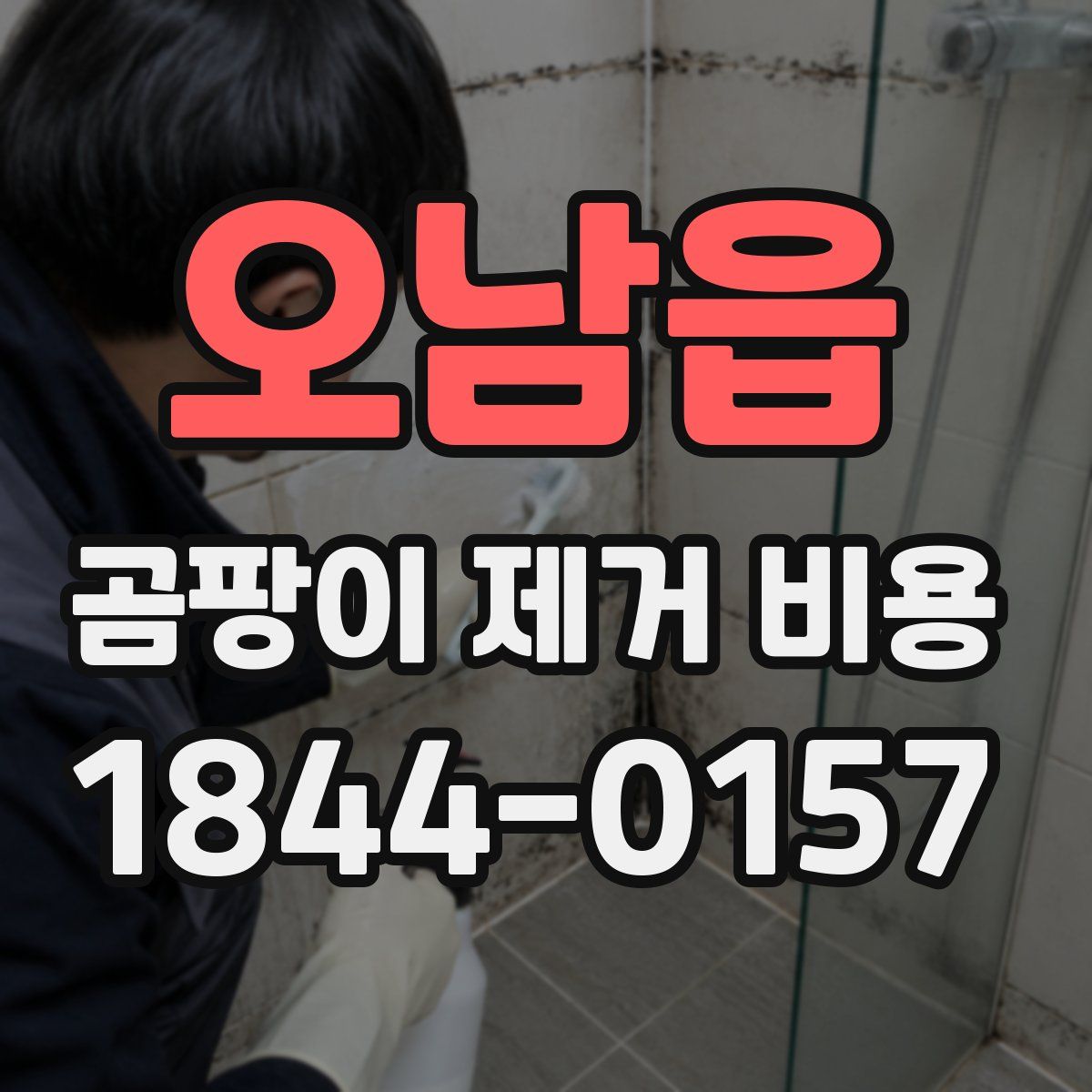오남읍 곰팡이 제거 비용