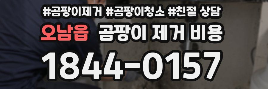 오남읍 곰팡이 제거 비용